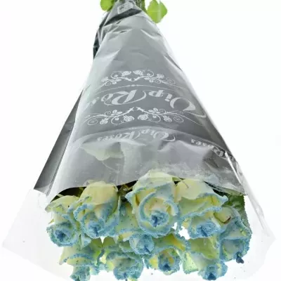 Bílá růže PEARL BLUE LOVE 60cm (L) R234