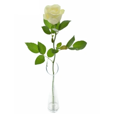 Bílá růže SNOWSTORM+ 60cm (M)