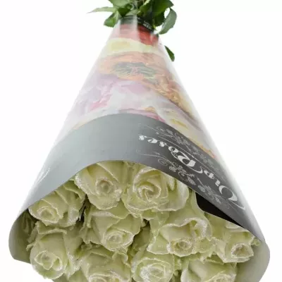 Bílá růže WAX BLING WHITE 70cm (XL)
