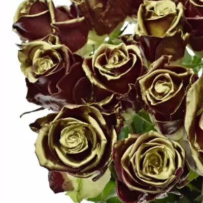 Bílá růže WAX BORDEAUX GOLD 70cm