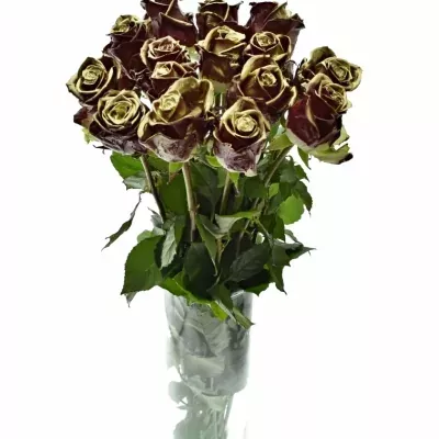 Bílá růže WAX BORDEAUX GOLD 70cm