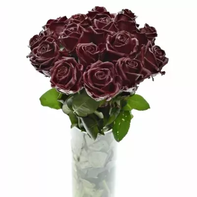 Bílá růže WAX DARK RED 70cm