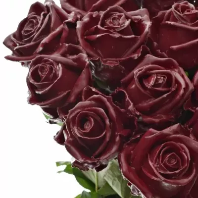 Bílá růže WAX DARK RED 70cm