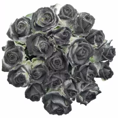 Bíločerná růže GLITTER BLACK 60cm
