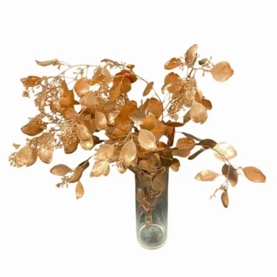 Blahovičník POPULUS BERRIES COOPER