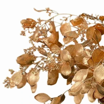 Blahovičník POPULUS BERRIES COOPER 200g