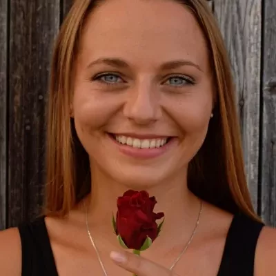 Červená růže Torero