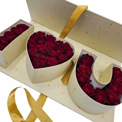 Krémový I Love You Box růží 006