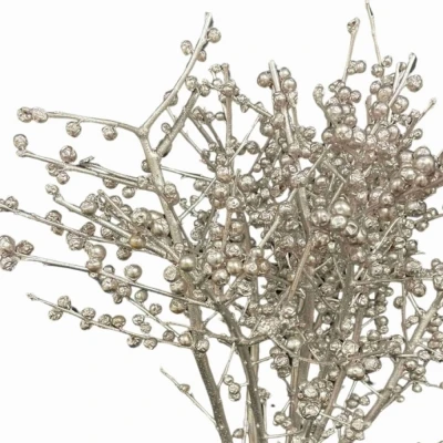 Cesmína VERTICILLATA CHAMPAGNE