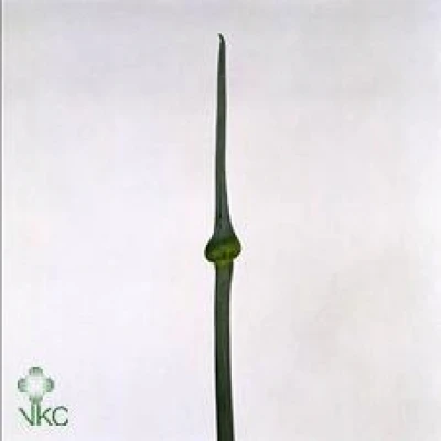 Česnek CEPA JUDITH 65cm