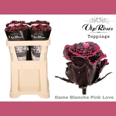 Čokoládová růže CHOCOLAT DAME BLANCHE PINK LOVE 70cm (R 301)