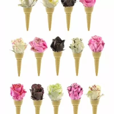 Čokoládová růže CHOCOLAT DREAM ICECREAM