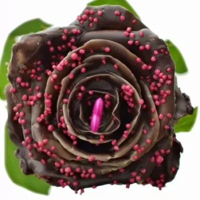 Čokoládová růže CHOCOLAT DAME BLANCHE PINK LOVE