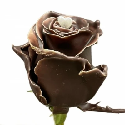 Čokoládová růže CHOCOLAT WHITE LOVE 70cm (L)