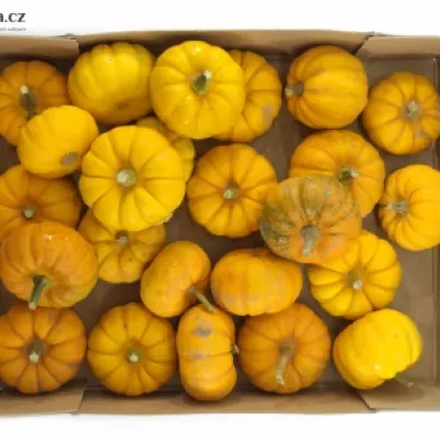 Cucurbita P WEE-BEE-LITTLE x25