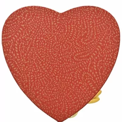 Dárková krabička Florea heart red medium 19x9cm 