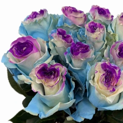 Duhová růže MARSHMALLOW GLITTER