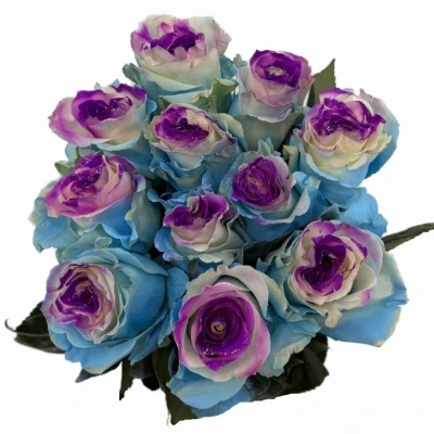 Duhová růže MARSHMALLOW GLITTER