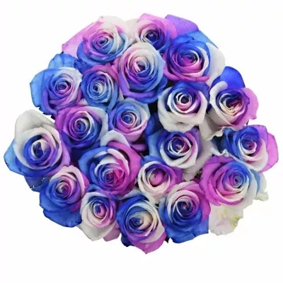 Duhová růže RAINBOW ALEKSANDRA 85cm (XL)
