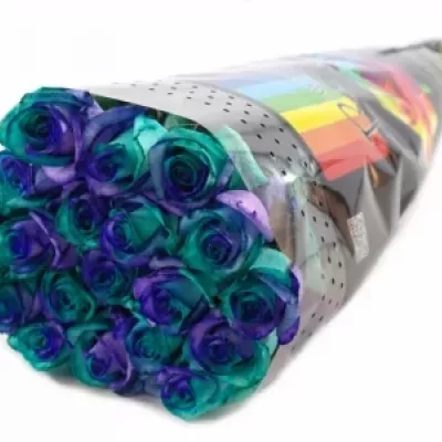 Duhová růže RAINBOW PACIFIC BLUE 80cm (XL)