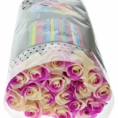 Duhová růže RAINBOW PINKWHITE 60cm (XXL)