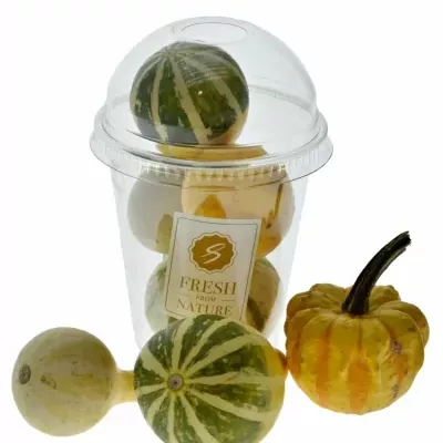 Kelímek Dekoračních Dýní MINI DECO FRUIT CUP 