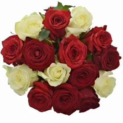 Míchaná kytice 15 vícebarevných růží CHRISTELLE 40 cm