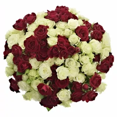 Kytice miešaná 100+ kvetov ruží ELLIE 60cm