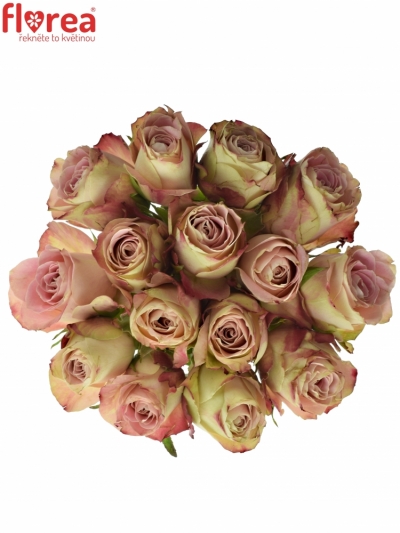 Kytice 15 žíhaných růží UPPER SECRET 45cm