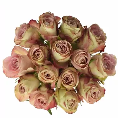 Kytice 15 žíhaných růží UPPER SECRET 60cm