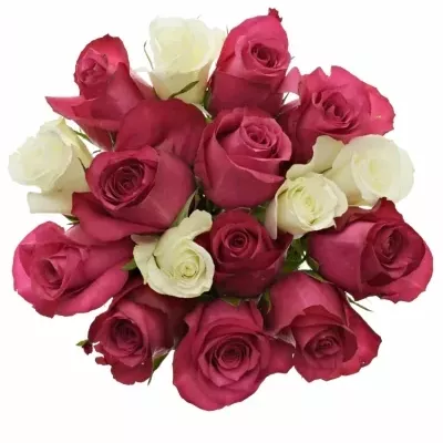 Míchaná kytice 15 vícebarevných růží PURPLE RAIN 60 cm
