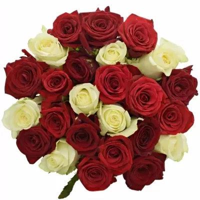 Míchaná kytice 25 vícebarevných růží CHRISTELLE 40 cm