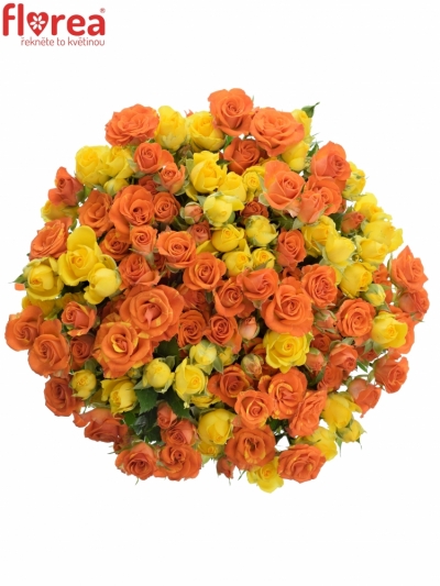 Kytice miešaná 100+ kvetov ruží RILEY 40cm
