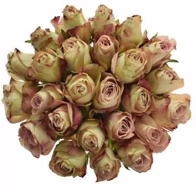 Kytice 25 žíhaných růží UPPER SECRET 35cm