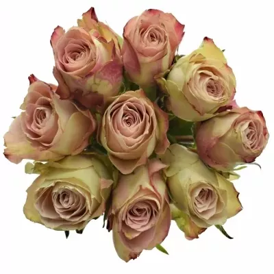 Kytice 9 žíhaných růží UPPER SECRET 60cm