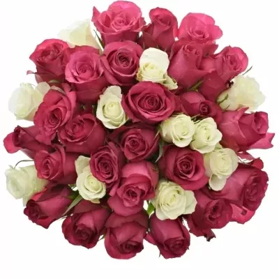 Míchaná kytice 35 vícebarevných růží PURPLE RAIN 50 cm
