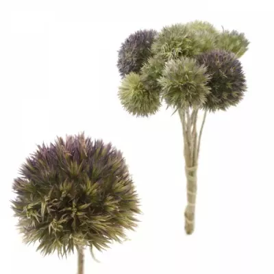 ERYNGIUM FIELD BOWL 35cm