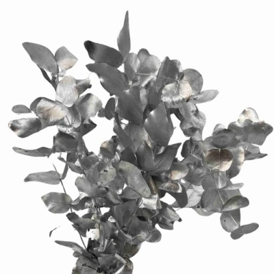 Blahovičník CINEREA SILVER 200 g 