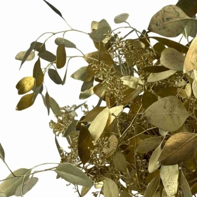 Blahovičník POPULUS BERRIES GOLD 300 g