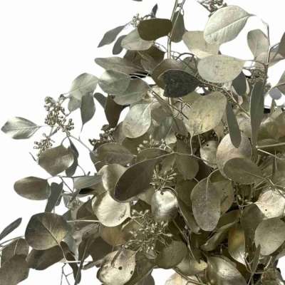 Blahovičník POPULUS BERRIES PLATINA 200 g