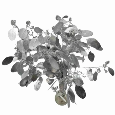 EUCALYPTUS POPULUS BERRIES SILVER