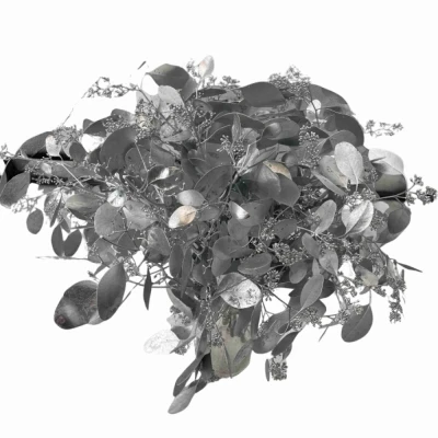 EUCALYPTUS POPULUS BERRIES SILVER