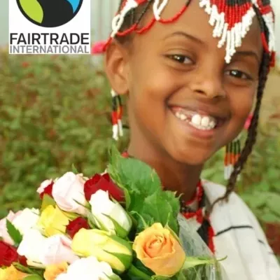 Fair Trade ruže