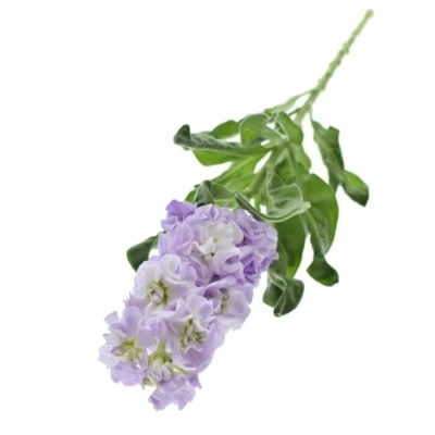 Fiala INCANA MILLA LAVENDER