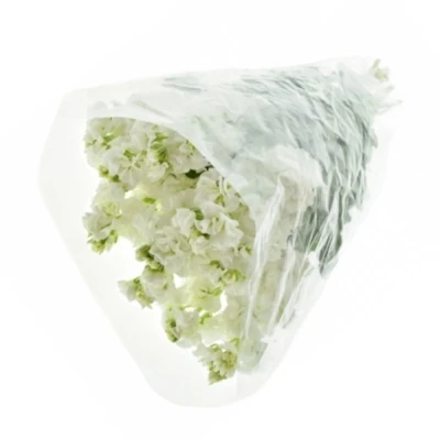 Fiala INCANA MILLA WHITE