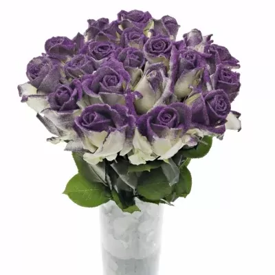 Fialová růže GLITTER  PURPLE 60cm (L)