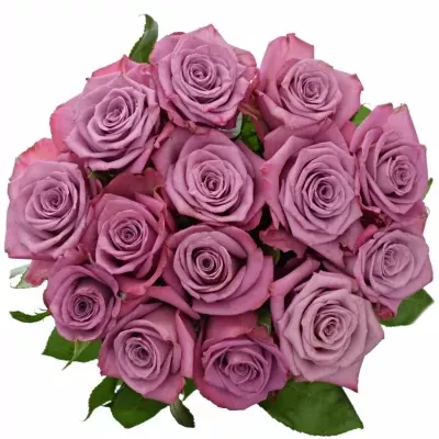Fialová růže MOODY BLUES 90cm (XXL)