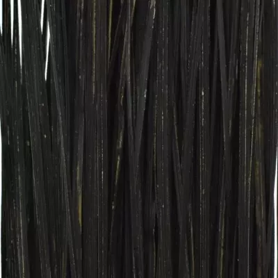 GRASS BEARGRASS 60cm BLACK