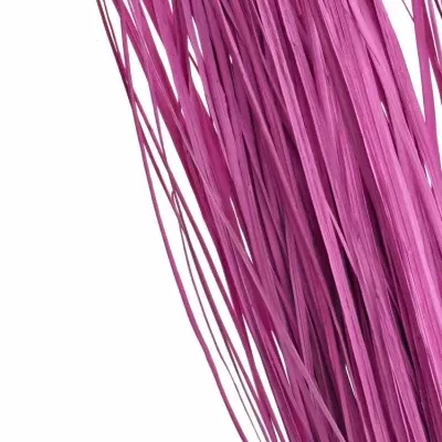 GRASS BEARGRASS 60cm CERISE