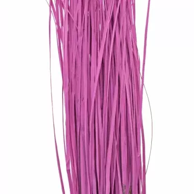 GRASS BEARGRASS 60cm CERISE
